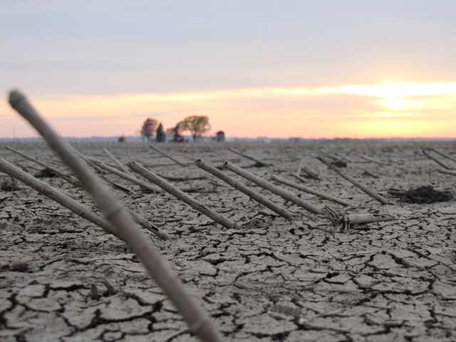 Leaving prevented planting acres bare this summer can lead to serious problems with soil erosion, nutrient loss, and weed control, agronomists warn. (DTN photo by Elaine Shein)